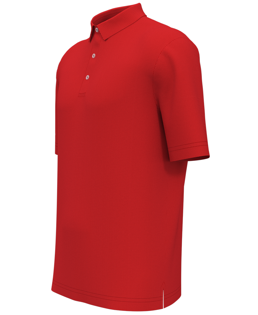 BIRDSEYE POLO